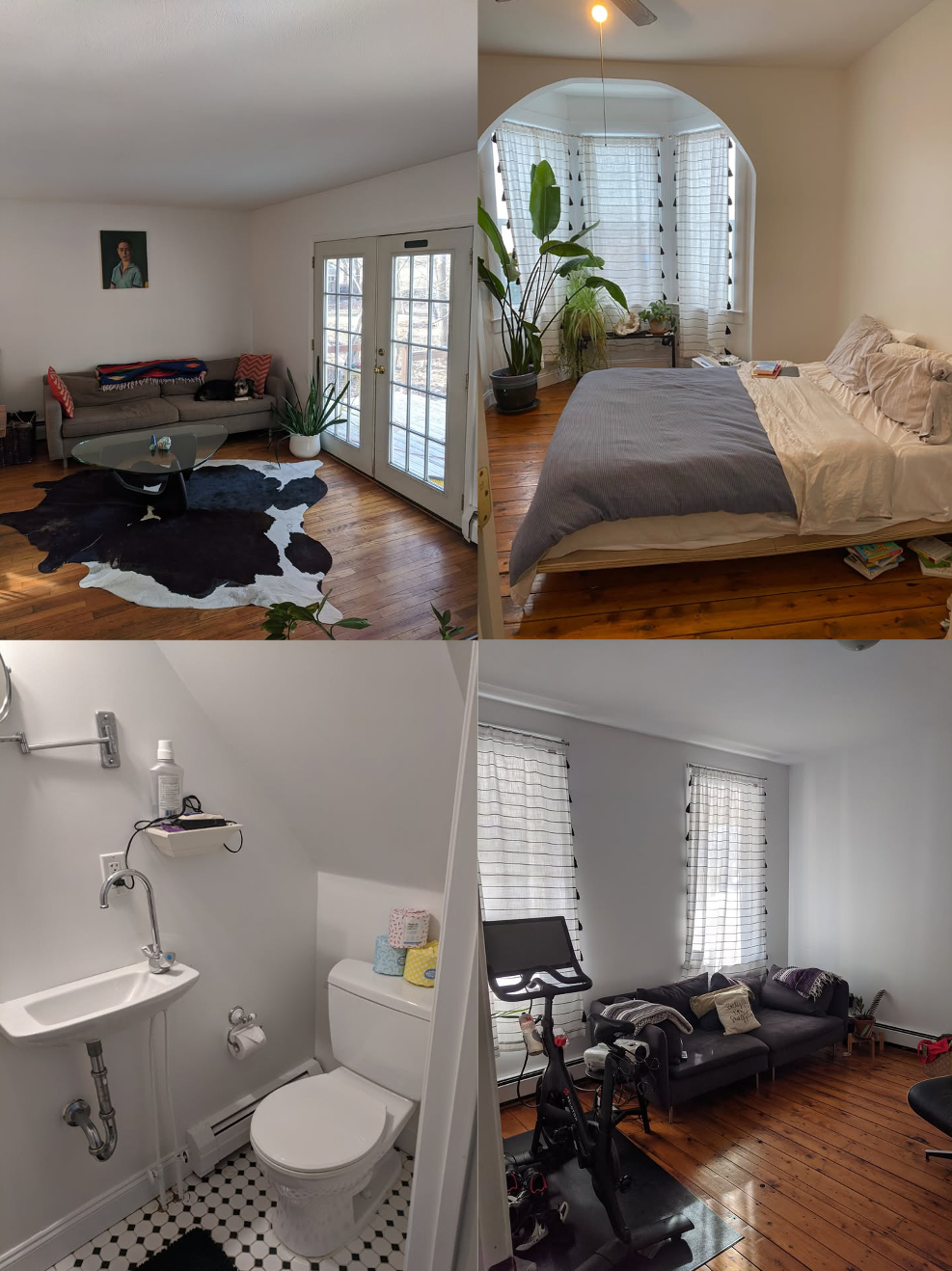 For Sale 2 Rooms for Rent at 39 Broadway, Tivoli