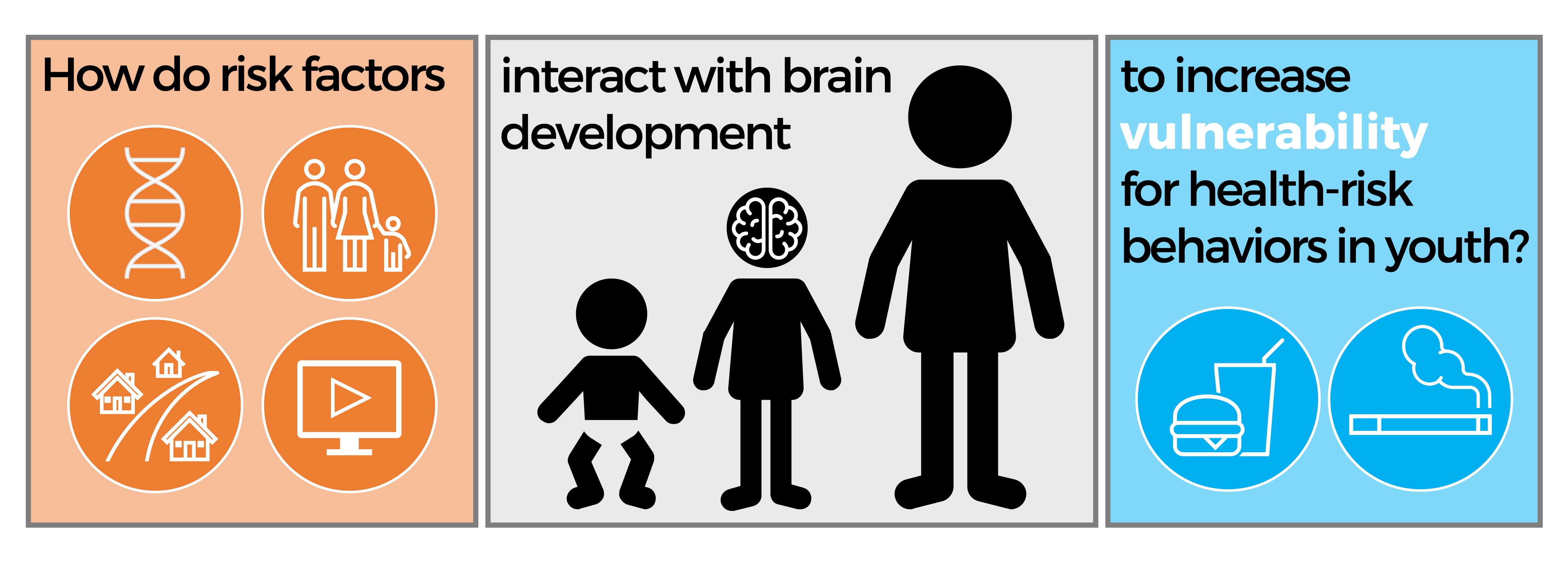 Characterizing Vulnerability to Health-risk Behaviors in the Developing Brain&nbsp;