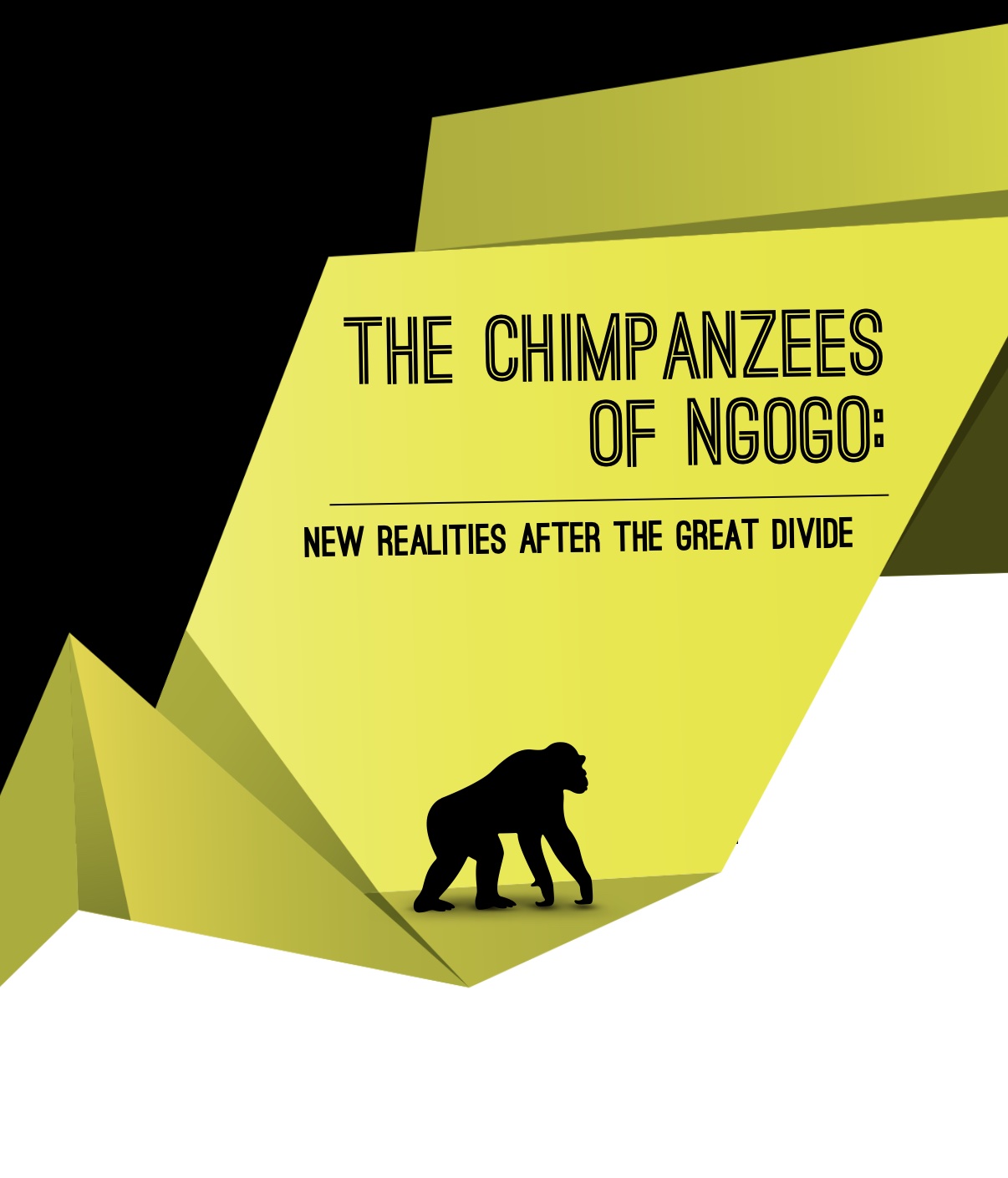 The Chimpanzees of Ngogo: New Realities After the Great Divide