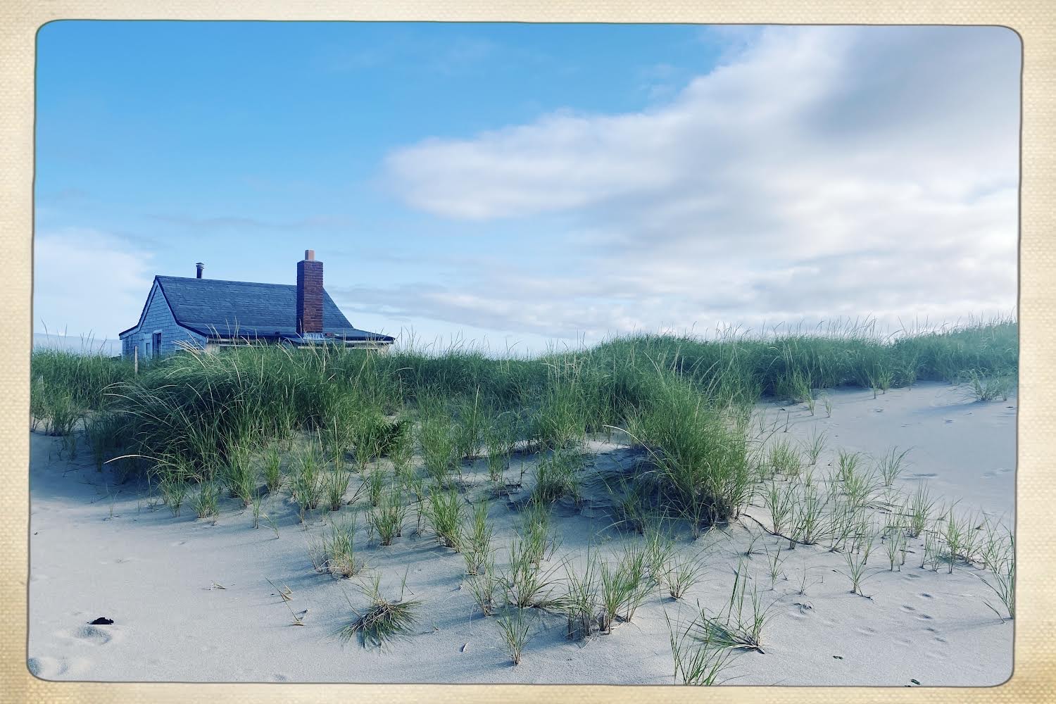 Small shack on a sandy beach with green plants growing around it