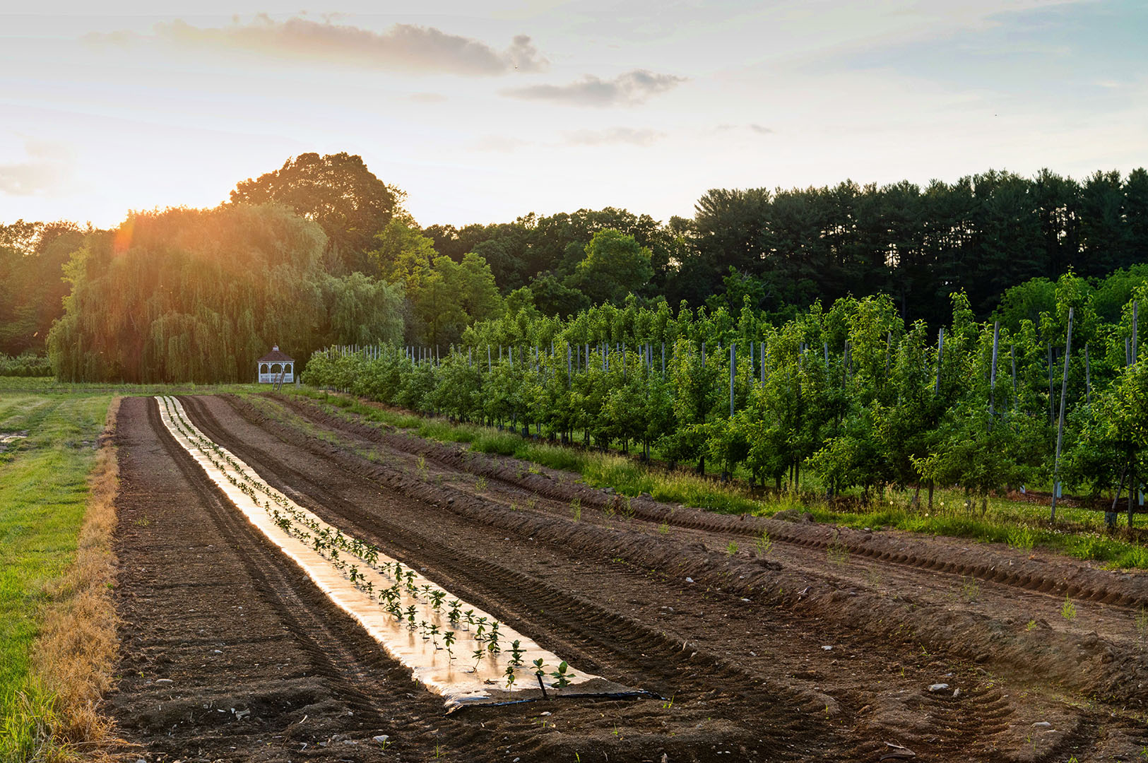 Salon Series at Bard College&rsquo;s Montgomery Place Campus to Focus on Regional Agriculture on Saturday, October 6