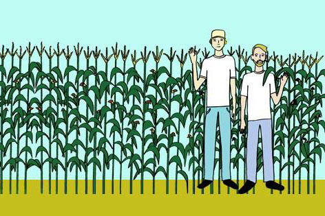 <em>Boston Globe</em> Highlights BjornQorn, Solar-Power-Popped Popcorn Created by Two Bard Roommates