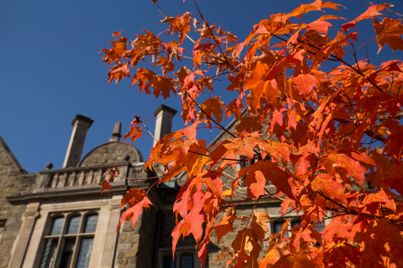 Bard Offers Poughkeepsie Day School Juniors Opportunity to Complete Senior Year at the College