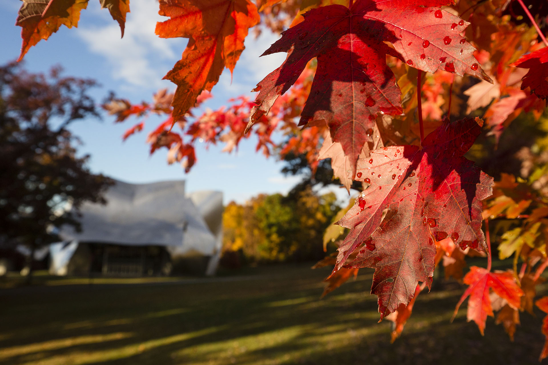 Bard College Is Inaugural Member of Liberal Arts Colleges Racial Equity Leadership Alliance