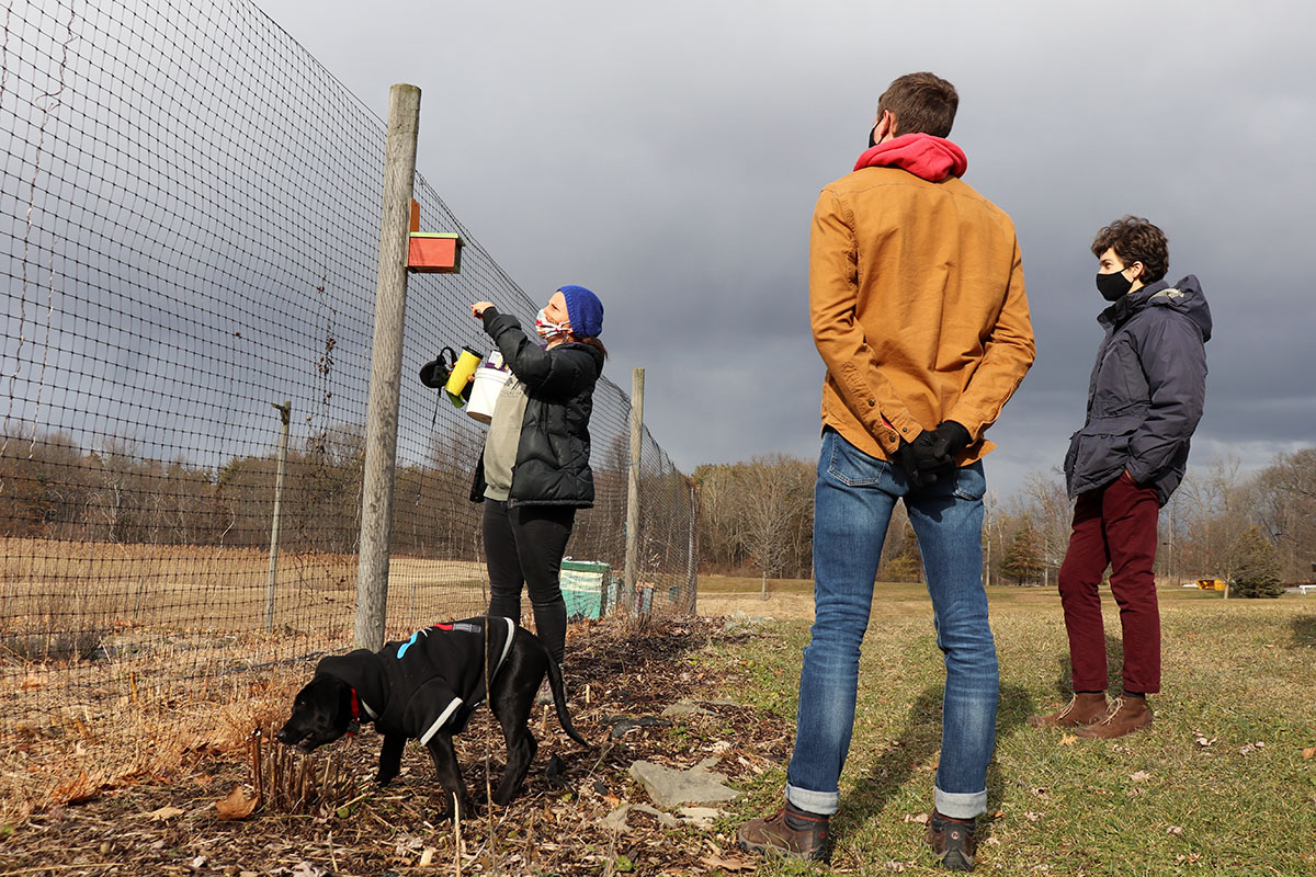 Bard College Celebrates MLK Day with Volunteer Activities and Civic Engagement Workshops