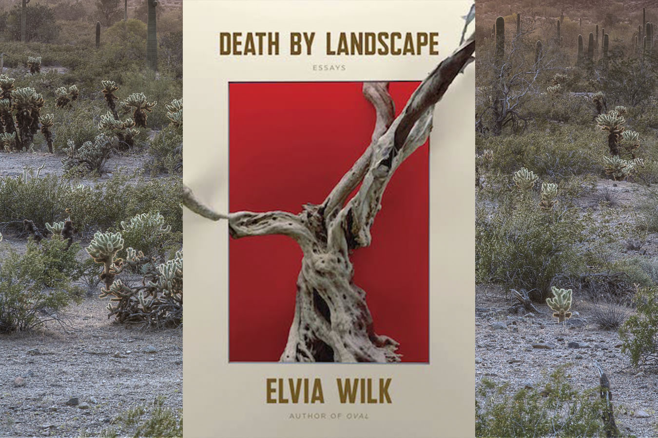 Elvia Wilk &rsquo;10 on Living and Writing in a Time of Planetary Extinction