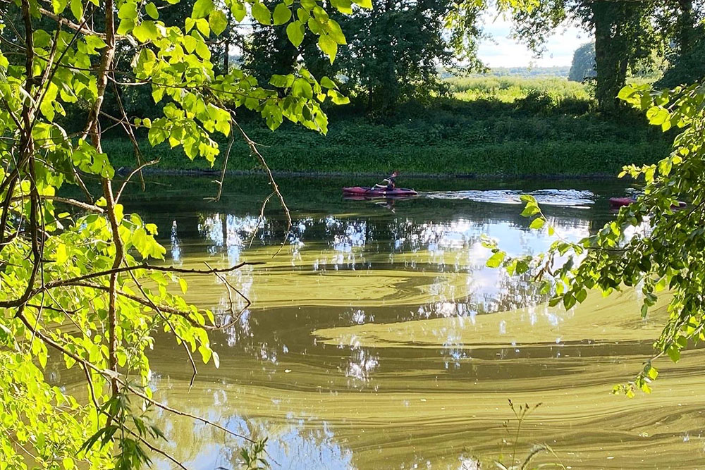 Bard College Receives $69,300 Grant from New York State Department of Conservation Hudson River Estuary Program