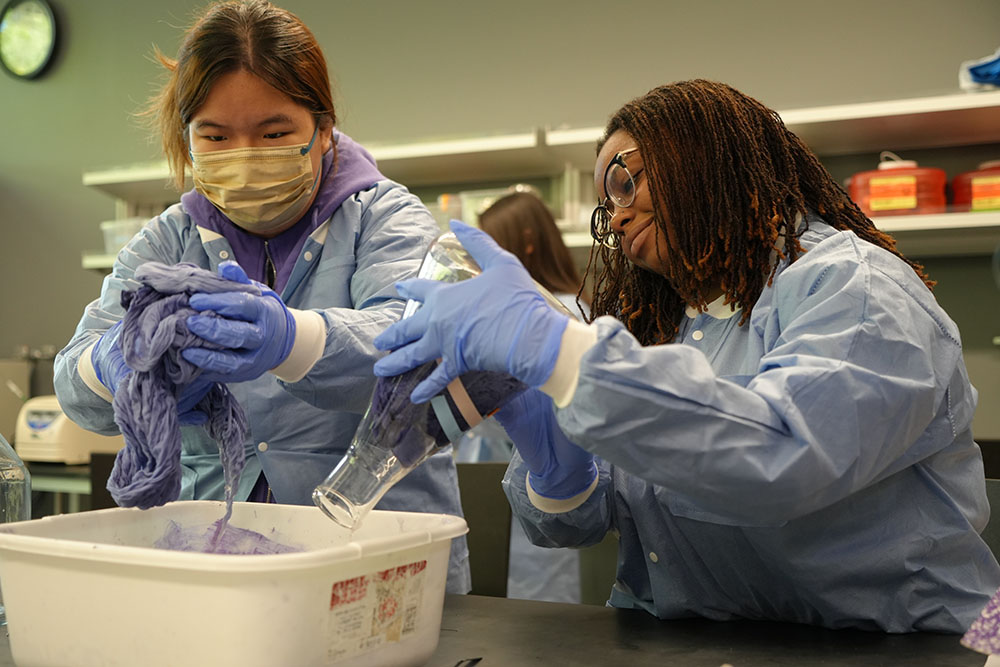 Brooke Jude and Robert Todd Receive Grant to Support an Undergraduate Research Experience in Microbial Mapping