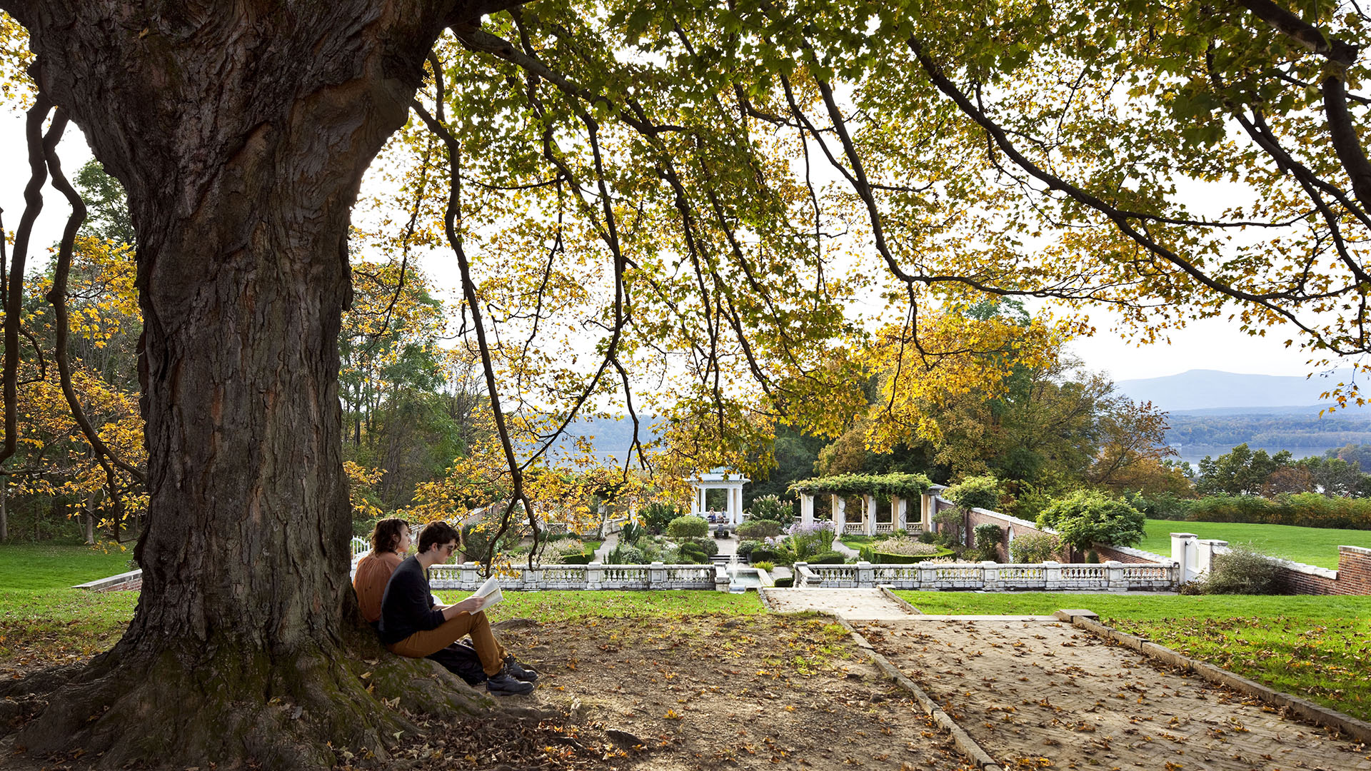 Two students sitting under a tree near Blithewood Garden.