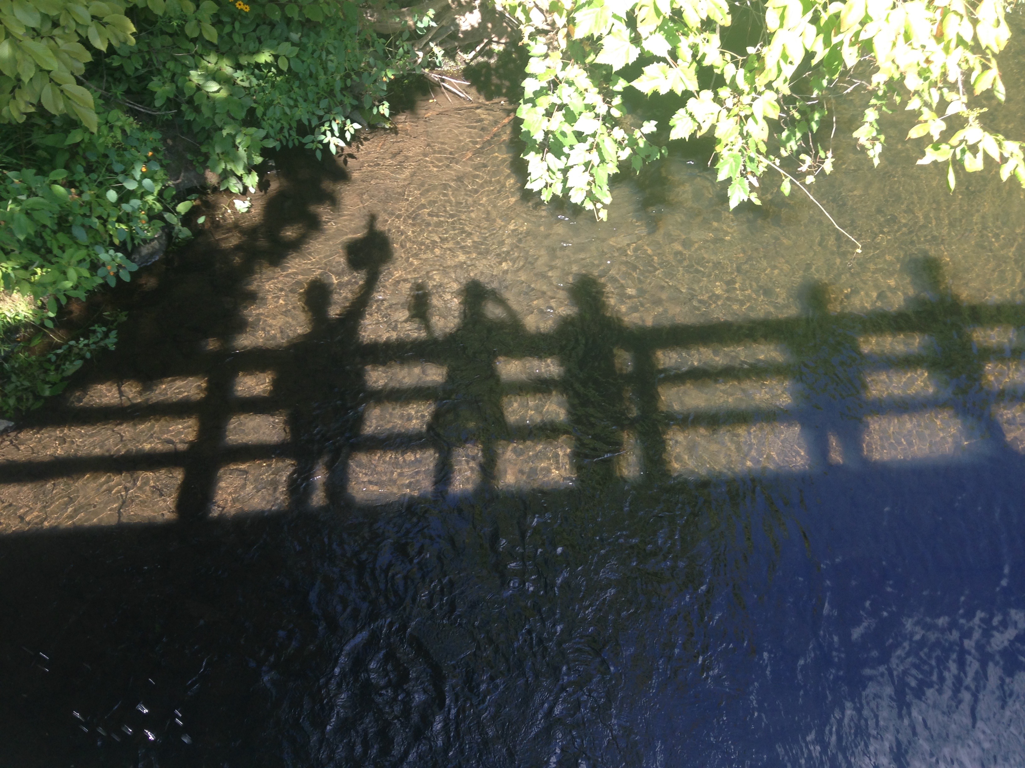 Bard College Center for Environmental Sciences and Humanities Celebrates Launch of Saw Kill Watershed Community Database