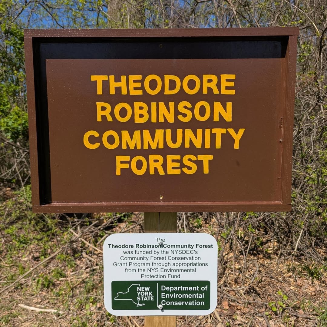 Bard College Helps to Establish Theodore Robinson Community Forest in Germantown