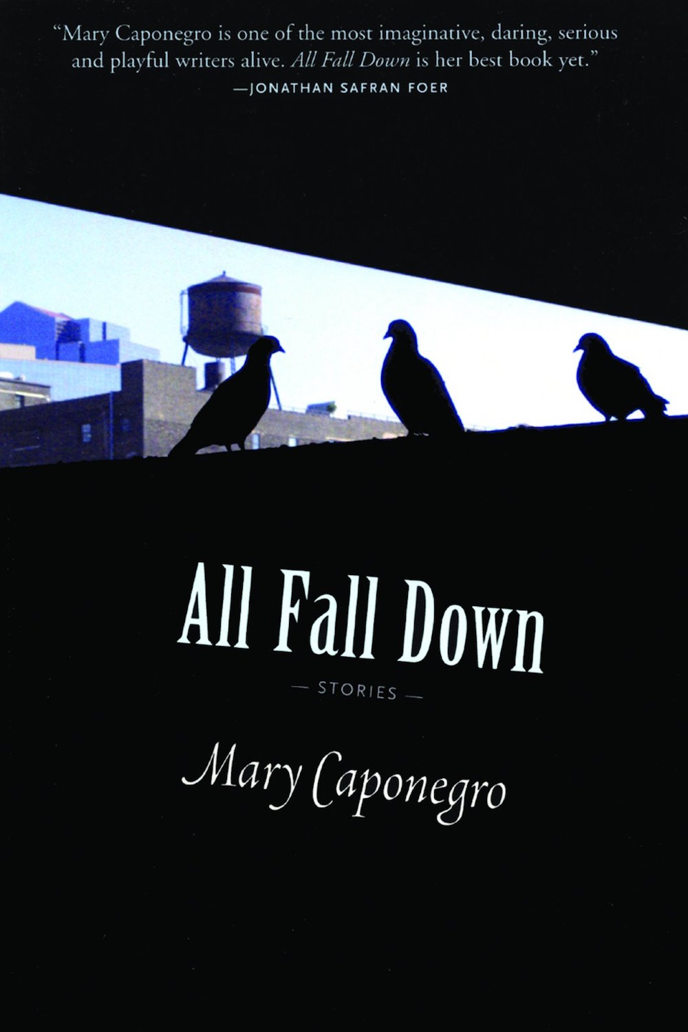 All Fall Down, stories by Mary Caponegro