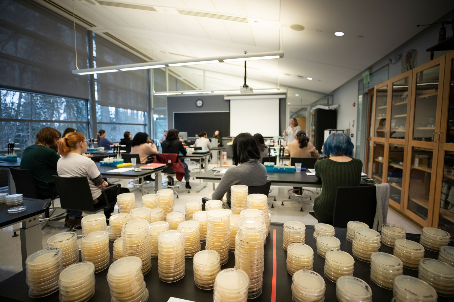 Bard College first-year students collected, plated, and mapped freshwater samples from around the world as part of the 2019 Citizen Science Program. Photo by Pete Mauney&nbsp;&#39;93 MFA &#39;00.