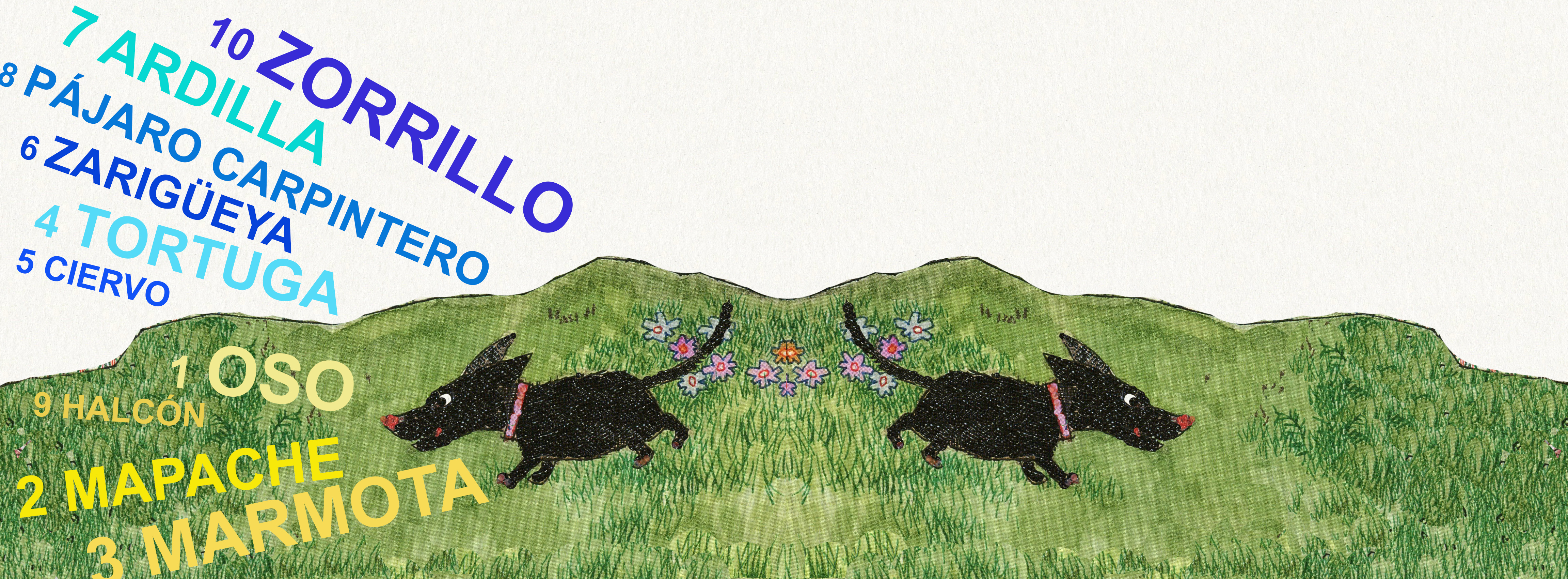 Escribe en inglés los nombres de estos animales que viven en el Valle del Hudson, ilustración de Cristina Brusca