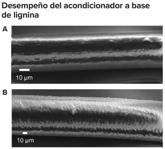 thumbnail image for Let them pay: ten voices defending territory in Latin America