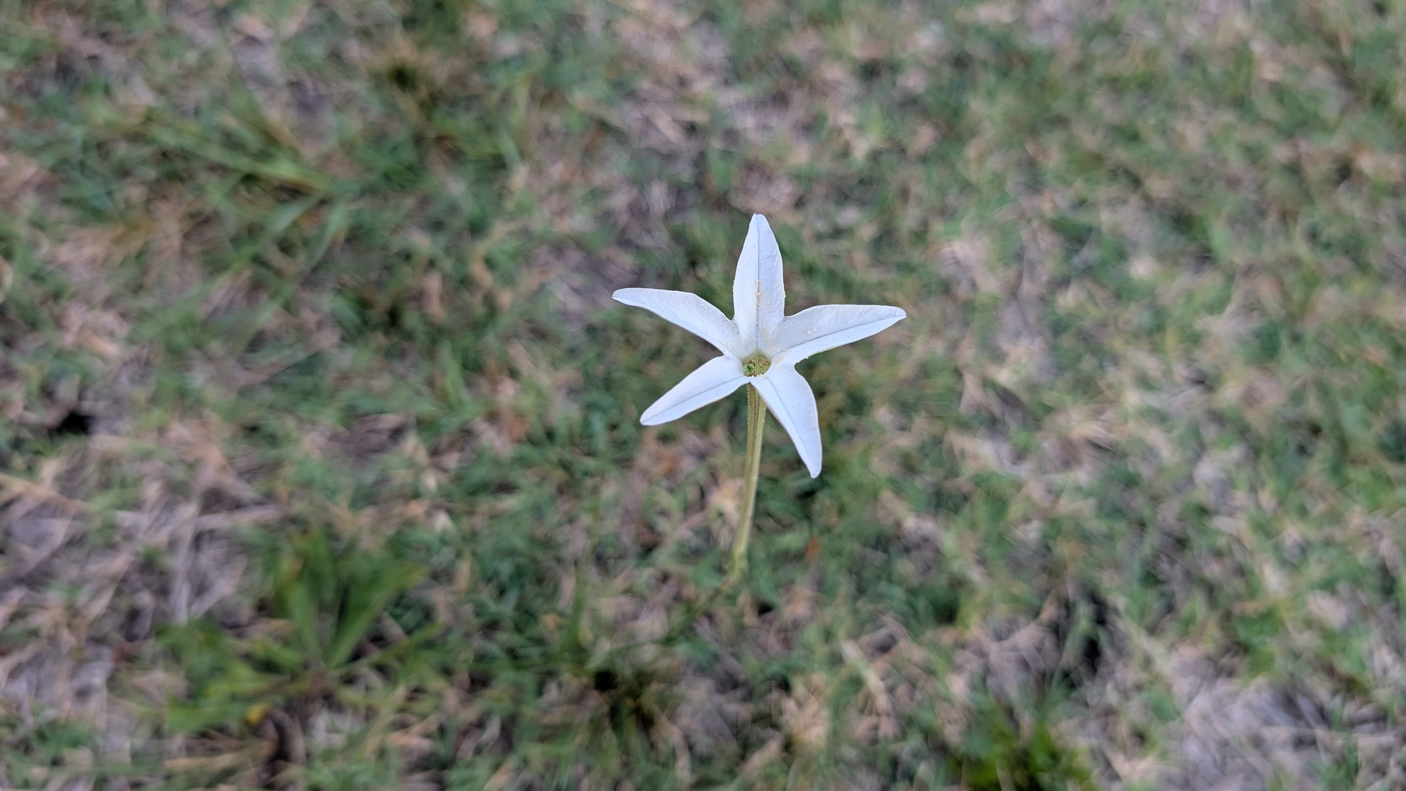 thumbnail image for Health Care is a Human Right