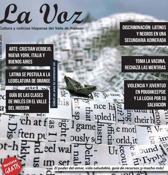 Imagen de la portada de La Voz de febrero 2021, arte por Cristian Verdejo