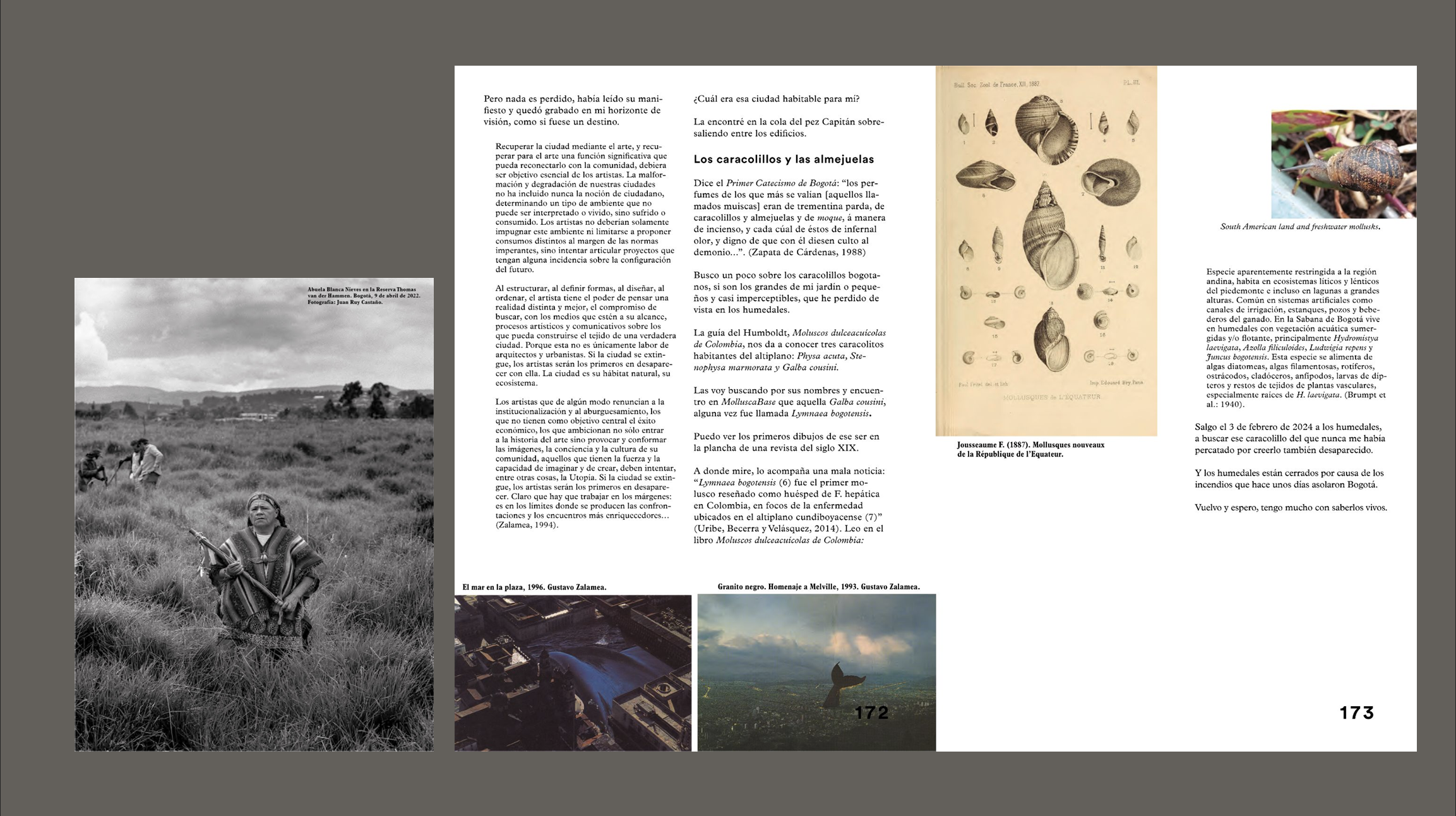 Ecotono: revoluciones silenciosas&nbsp;(Ecotone: Silent Revolutions)