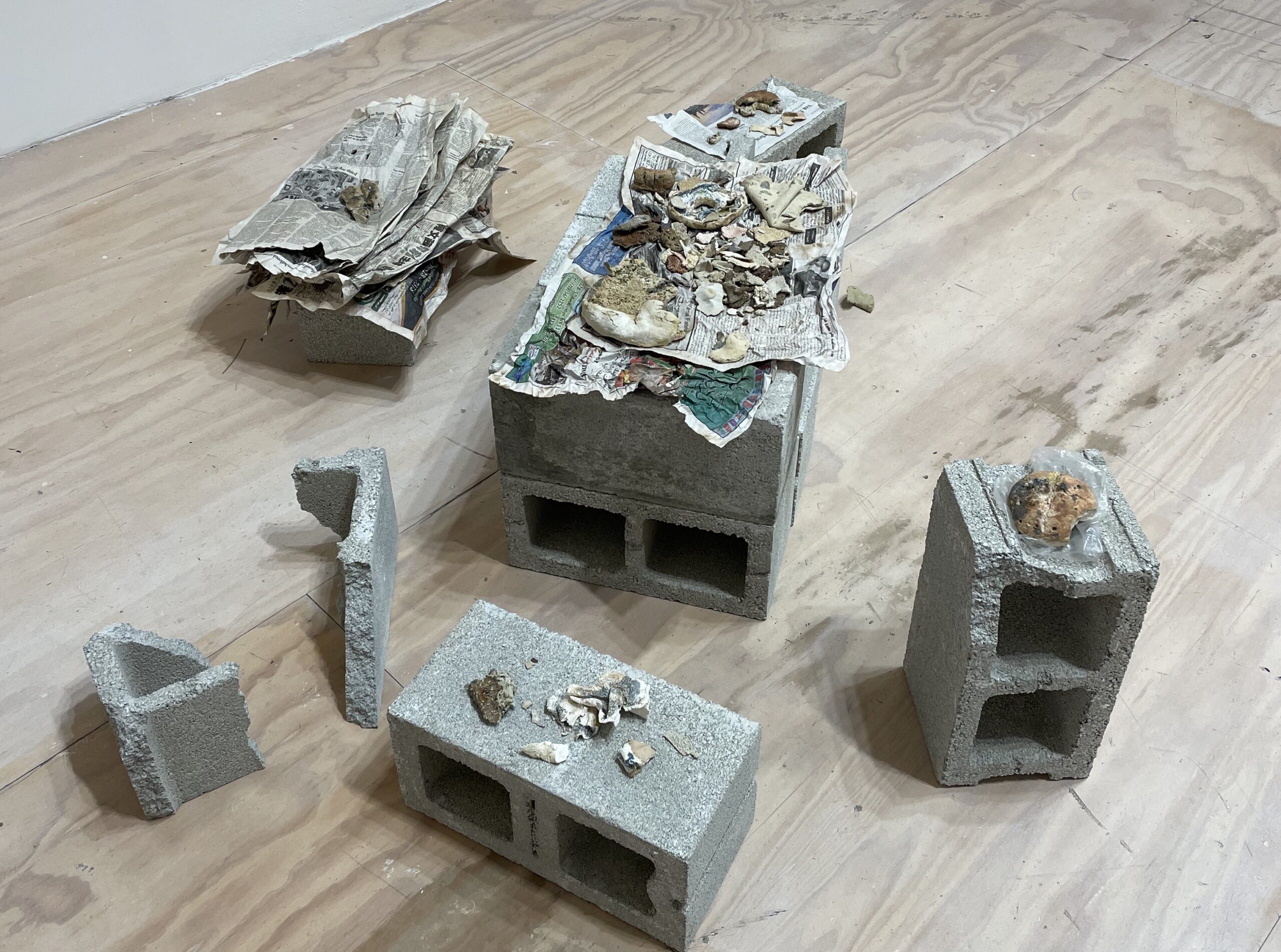 Excerpt from Jumana Manna&rsquo;s CHRA Talk: When A Goat Eats the Scene